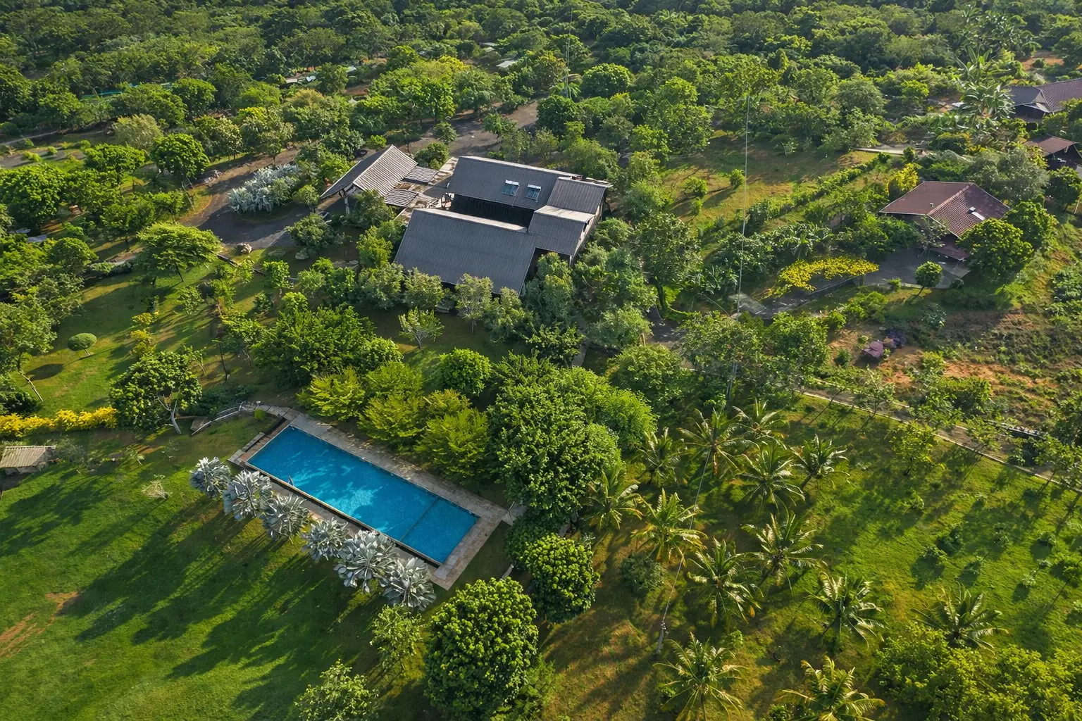 Birds Resort Story