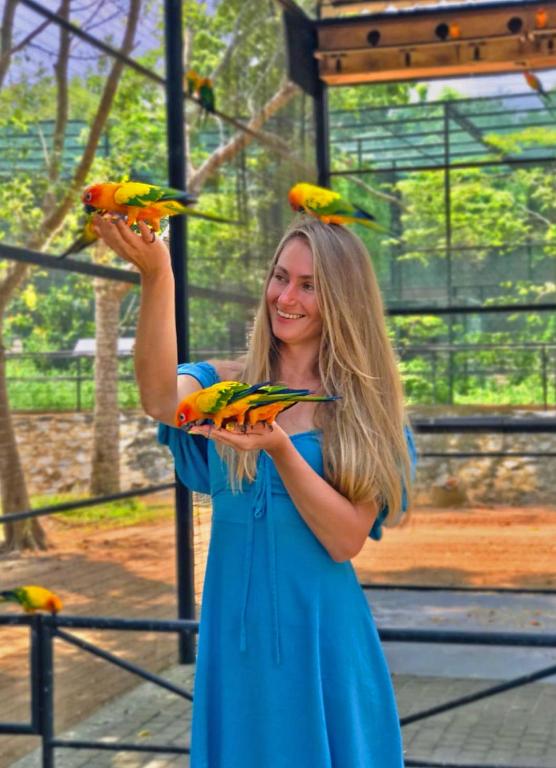 Birds
