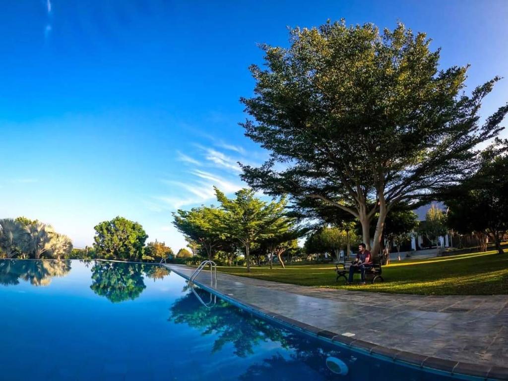Infinity Pool